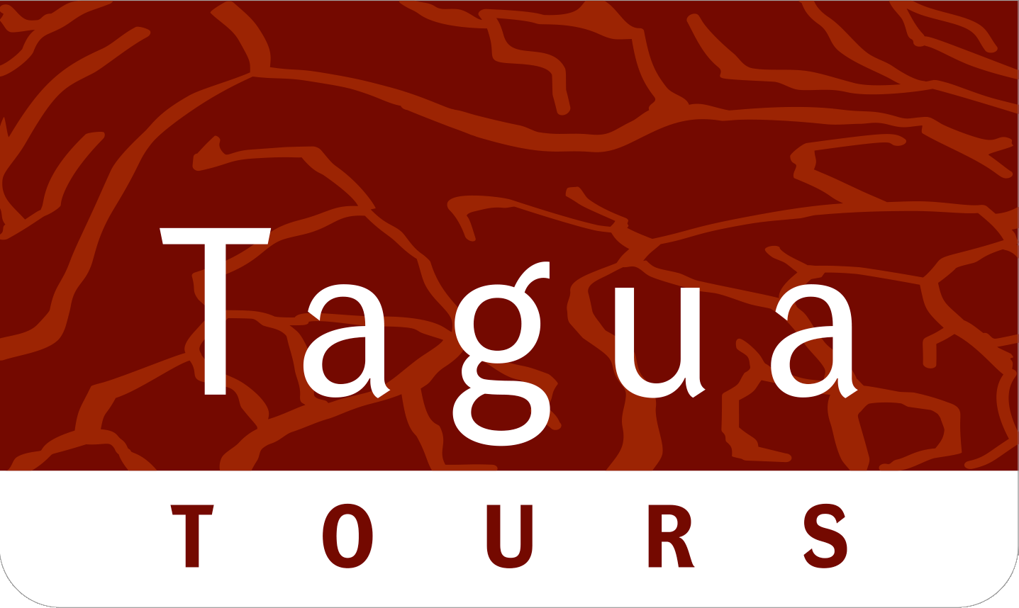 TaguaTours